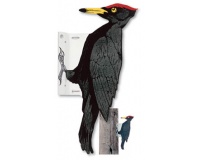 / uploads/overheadlinehardware/specialityplatescly262 woodpecker